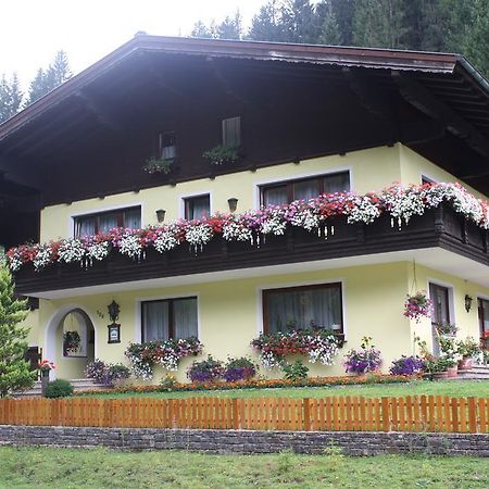 Schwarzenbacher Lungotz Luaran gambar
