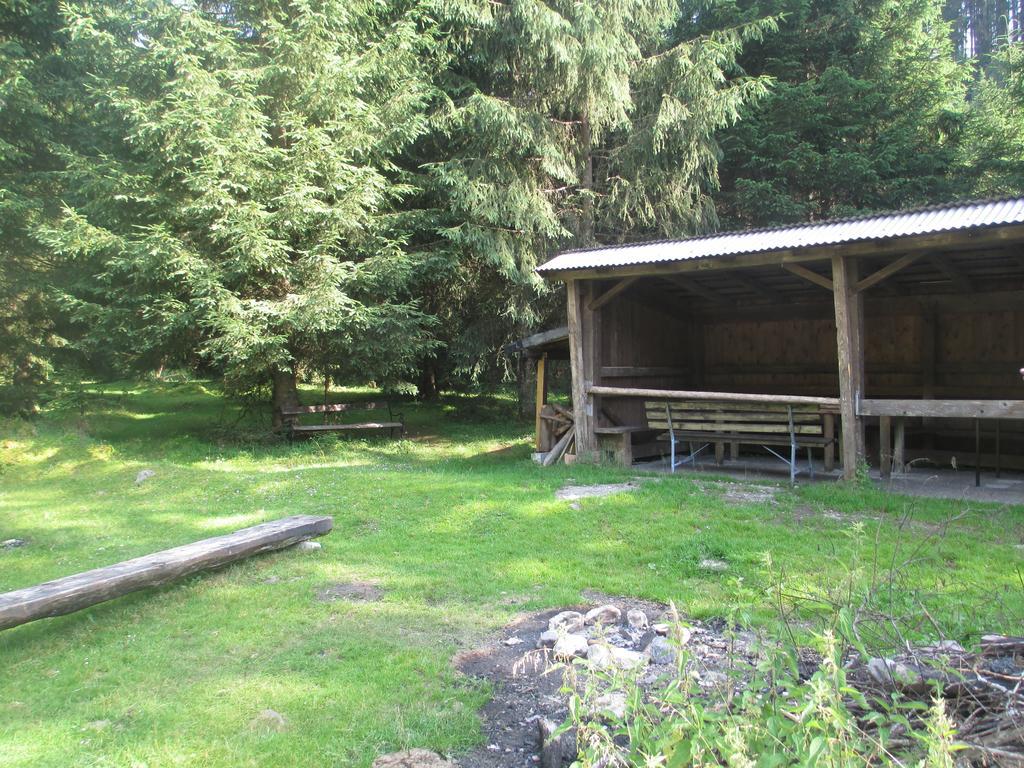 Schwarzenbacher Lungotz Bilik gambar