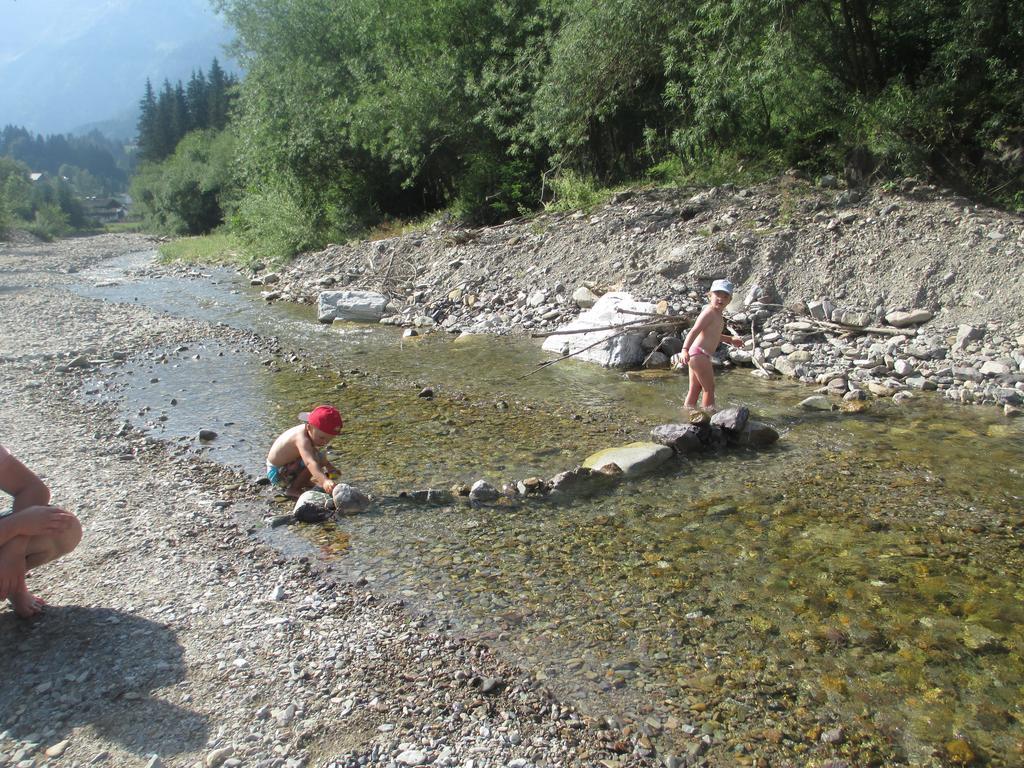 Schwarzenbacher Lungotz Bilik gambar