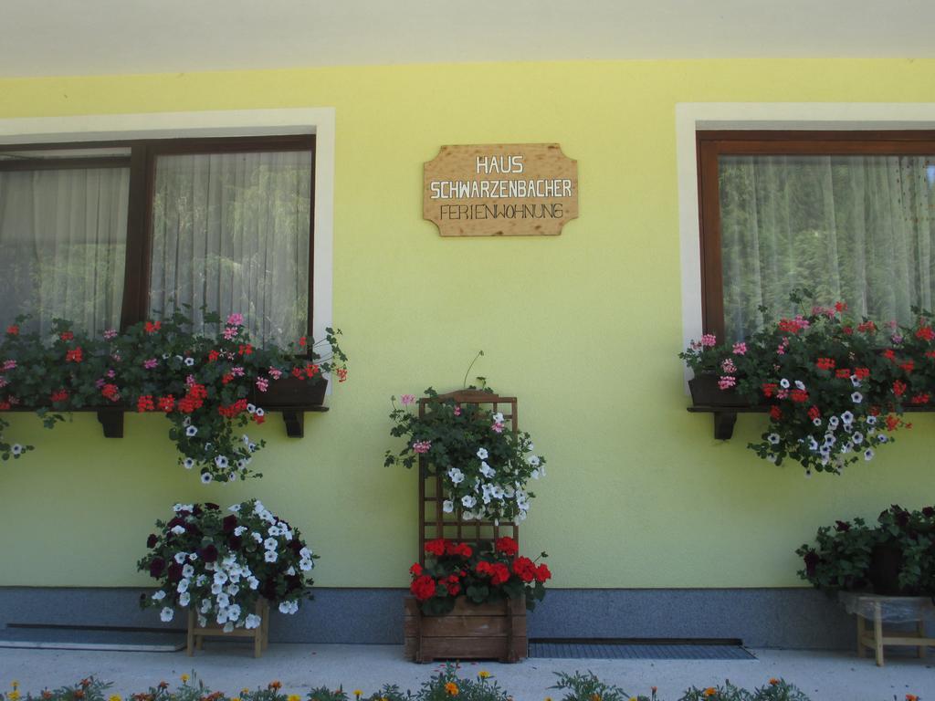 Schwarzenbacher Lungotz Bilik gambar